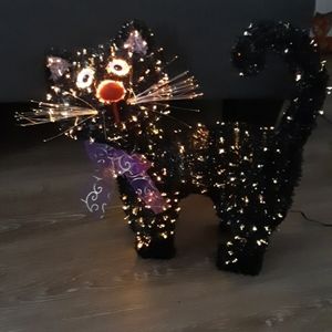 Fiber optic animated cat
